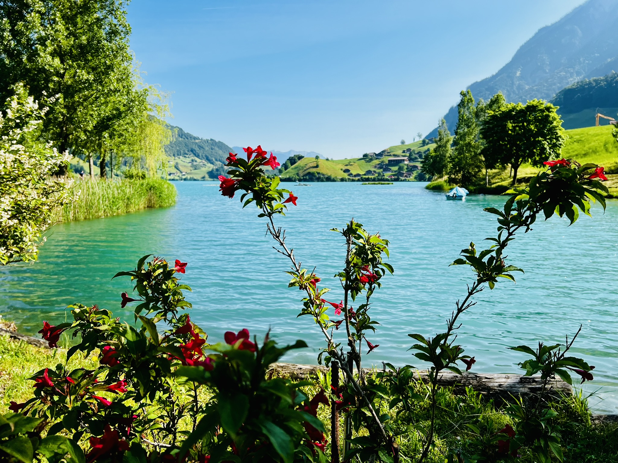 Lungern IMG_3198