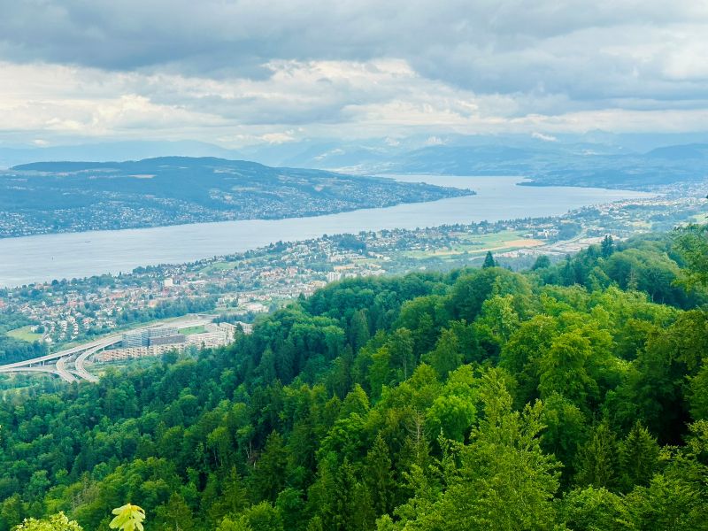 ZURICH 3