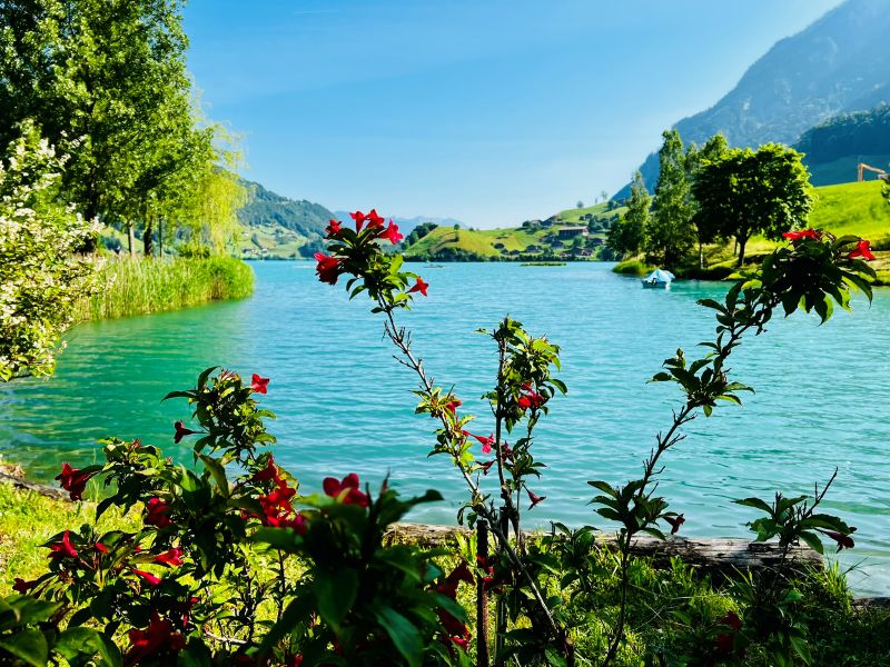 LUNGERN 5